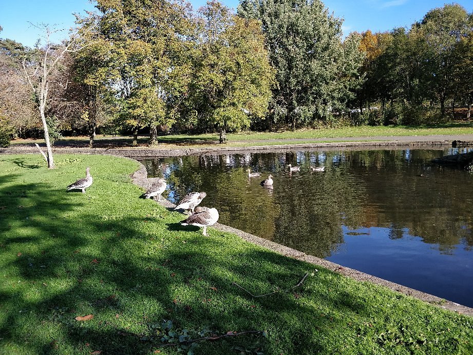 Ward Park and Community Features